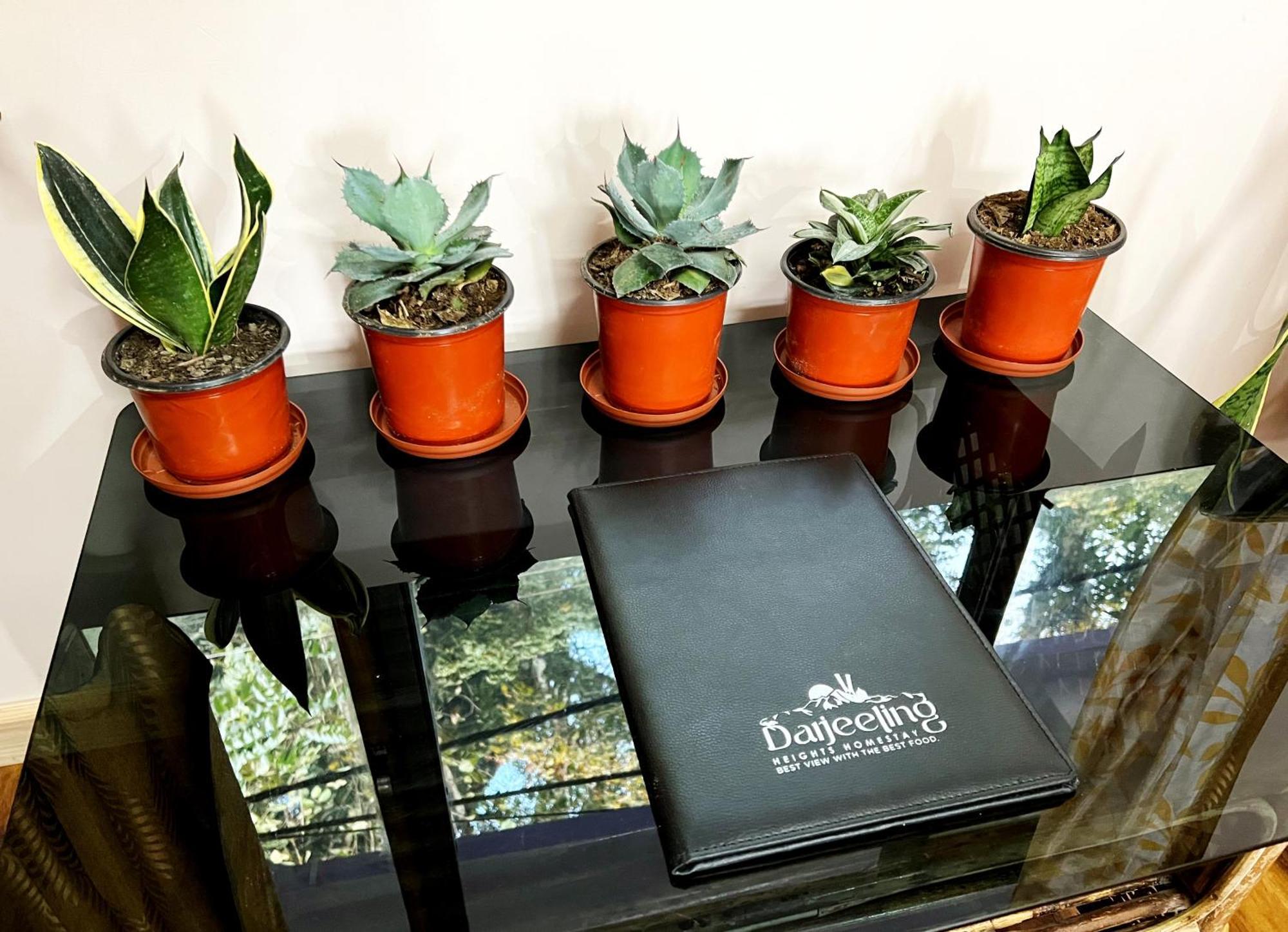 Darjeeling Heights - A Boutique Mountain View Homestay Bilik gambar